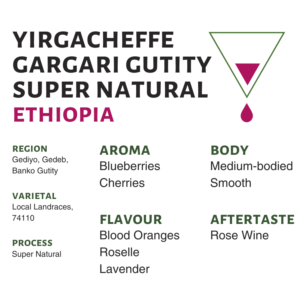 Ethiopia Yirgacheffe Gargari Gutity Super Natural