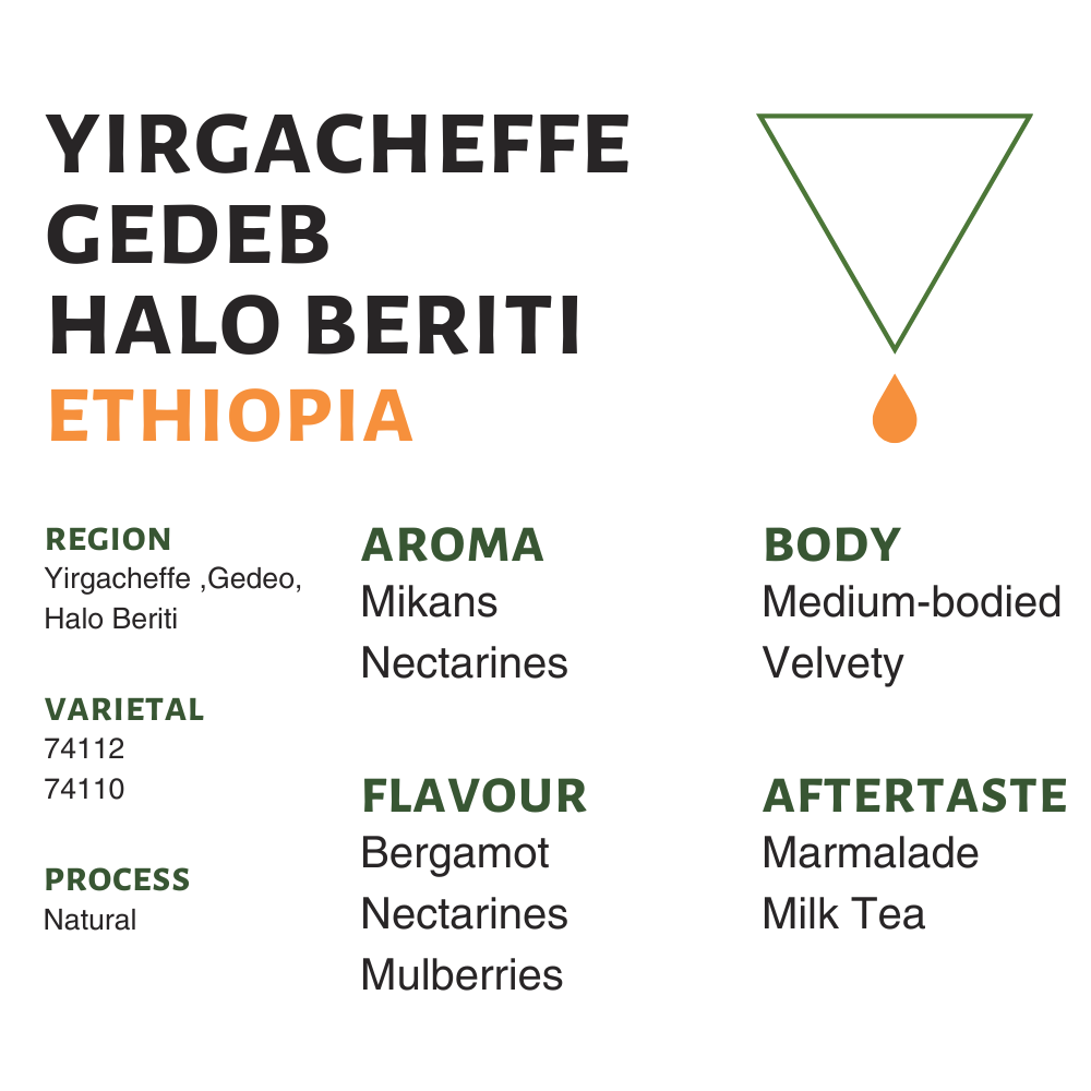 Ethiopia Yirgacheffe Halo Beriti