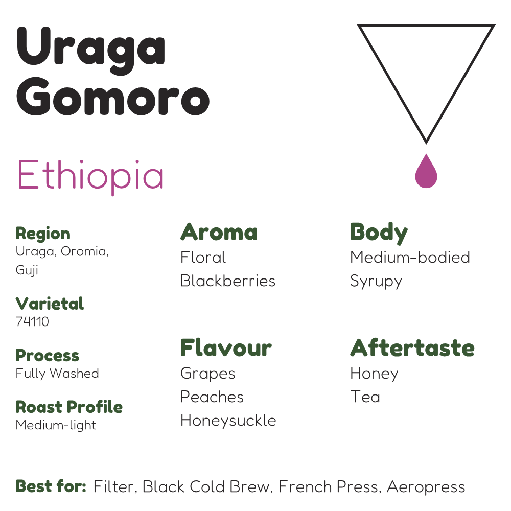 Ethiopia Uraga Gomoro Guji G1