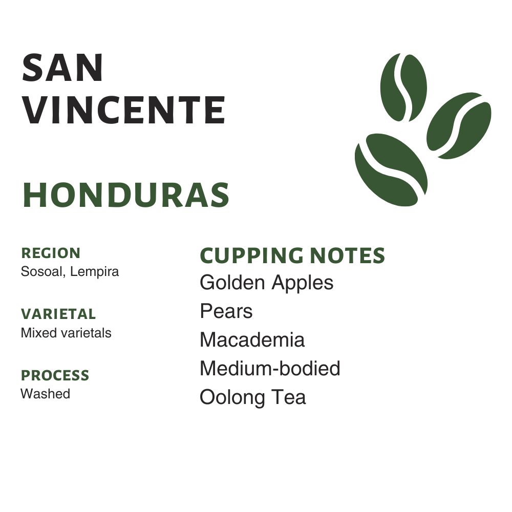 Honduras San Vincente (Raw)