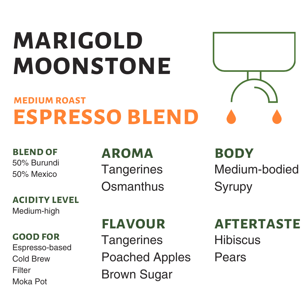 Marigold Moonstone (Seasonal Espresso Blend)