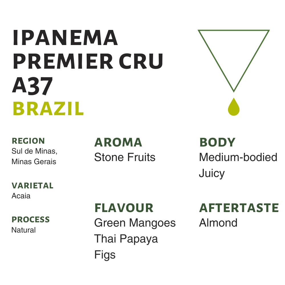 Brazil Ipanema Premier Cru A37