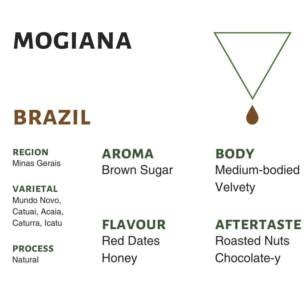 Brazil Mogiana Flavor Profile