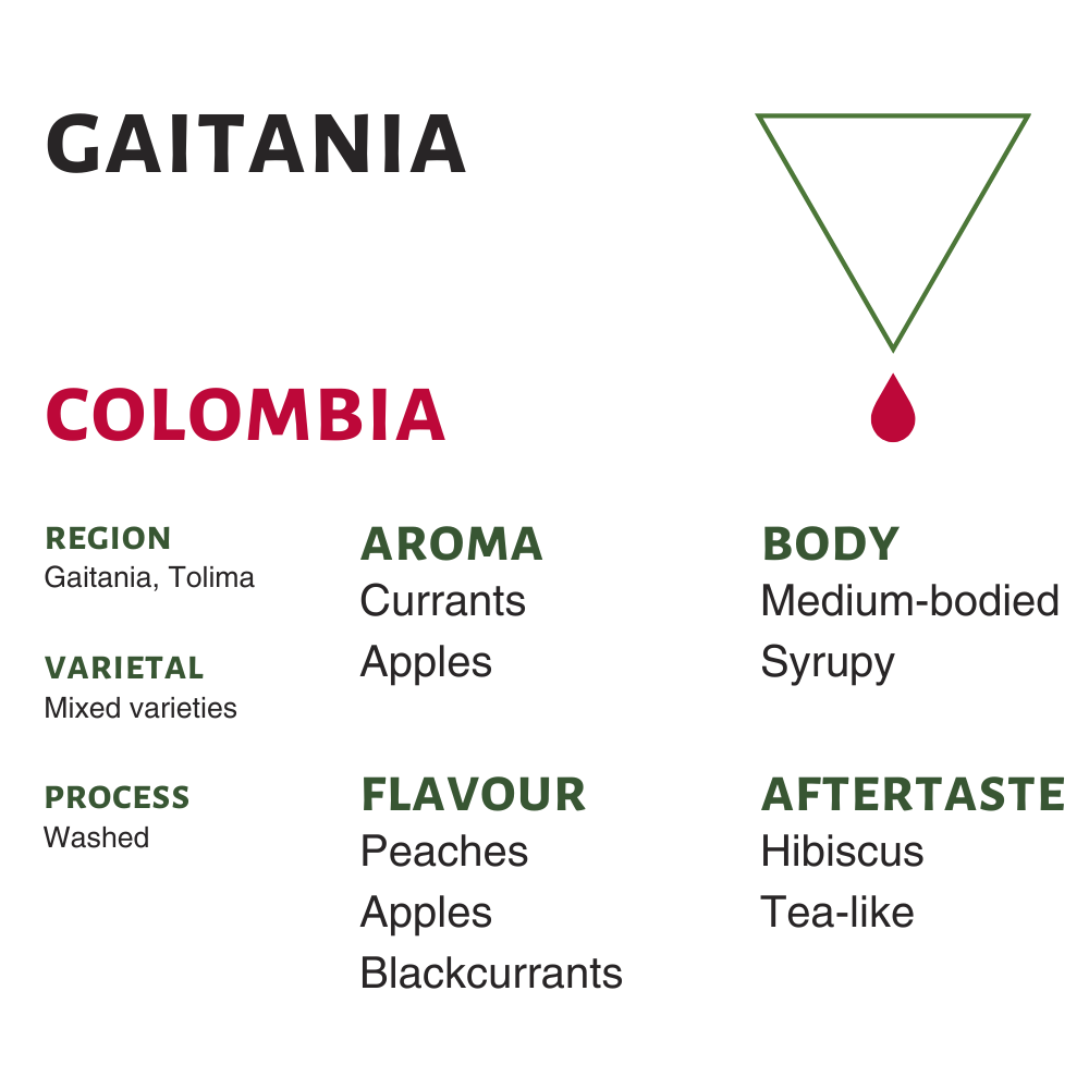 Photo of Colombia Gaitania