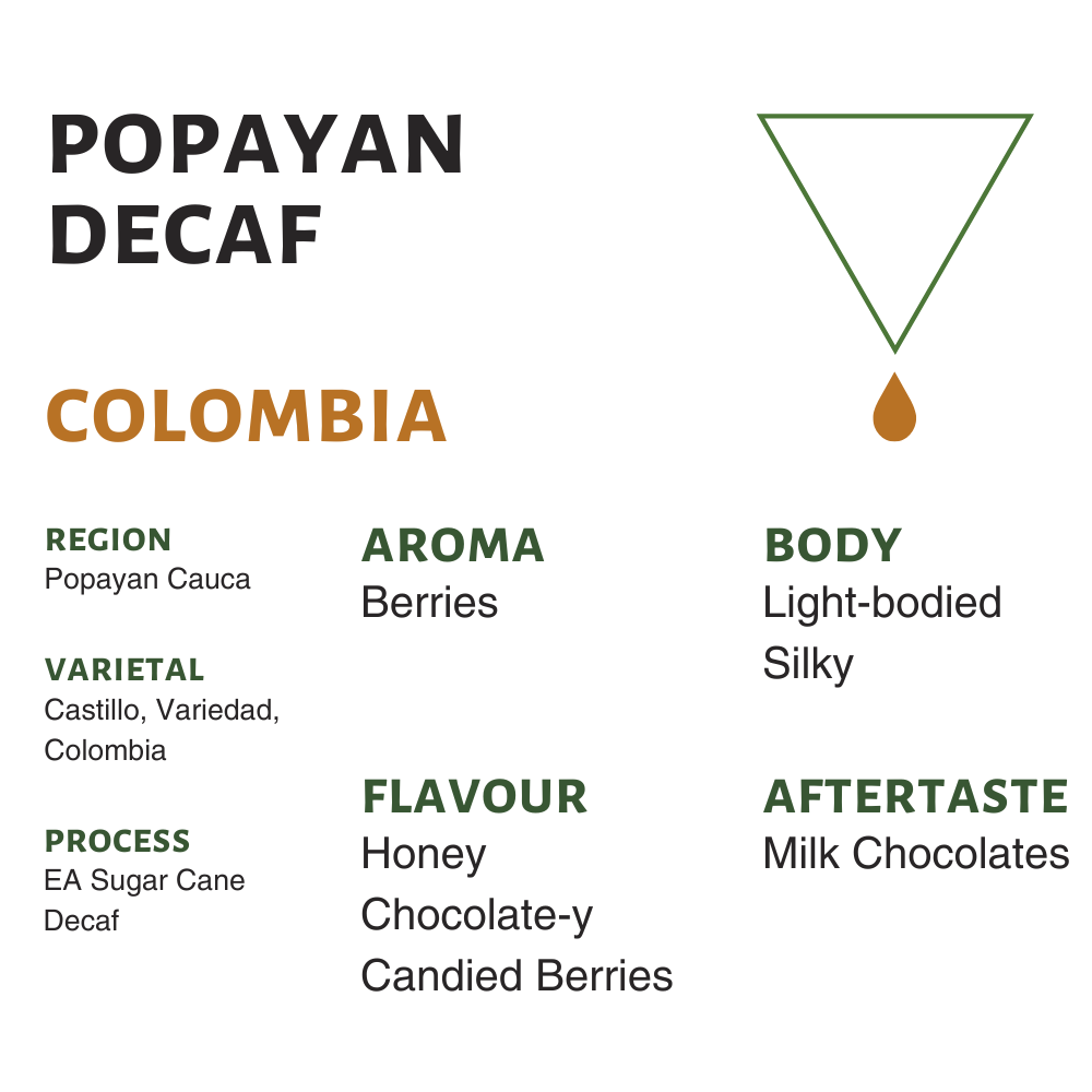 Colombia Popayan Decaf Flavor Profile