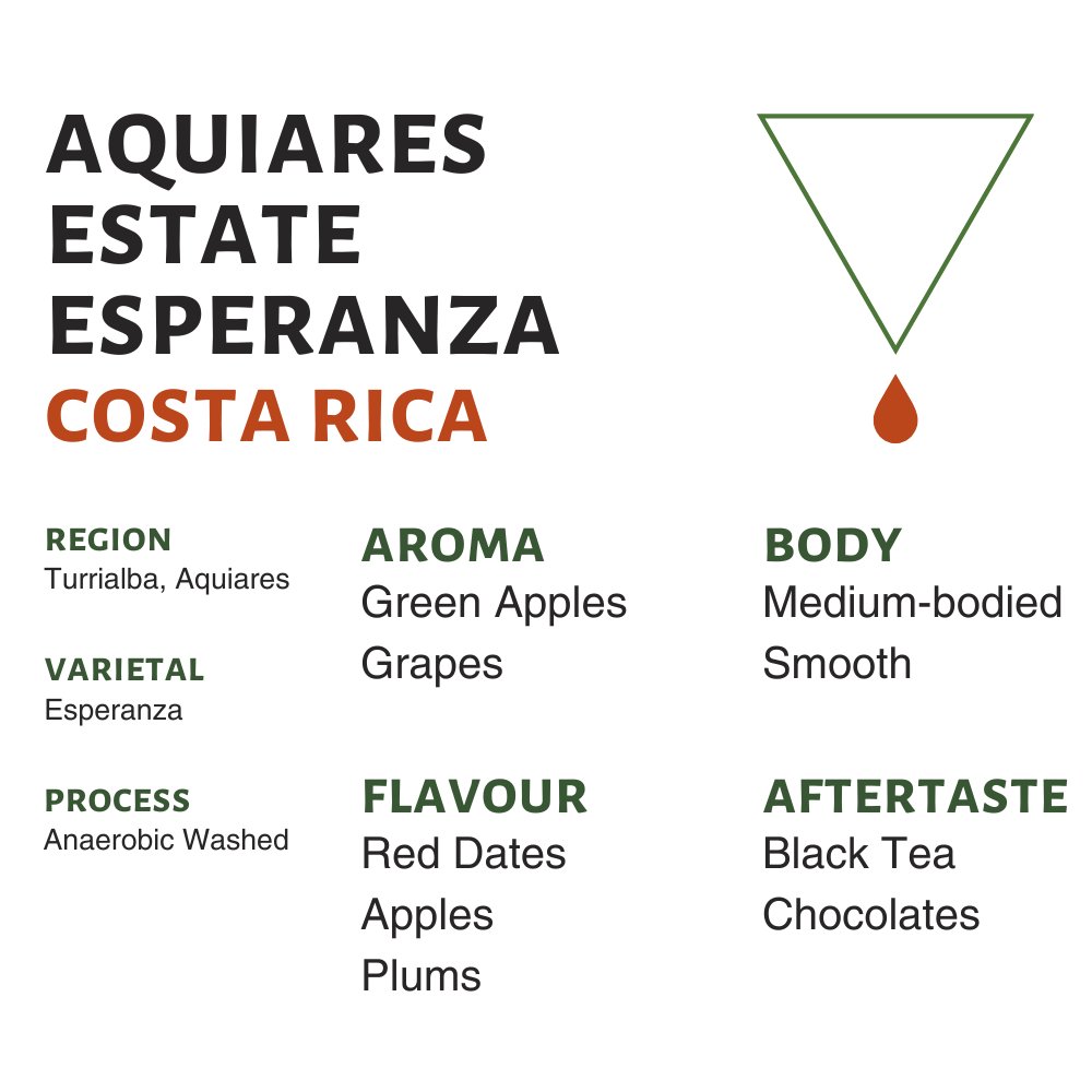 Costa Rica Aquiares Estate Flavor Profile