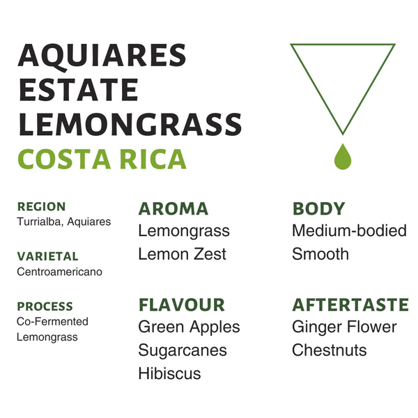 Costa Rica Aquiares Estate Lemongrass Roasted Coffee Beans