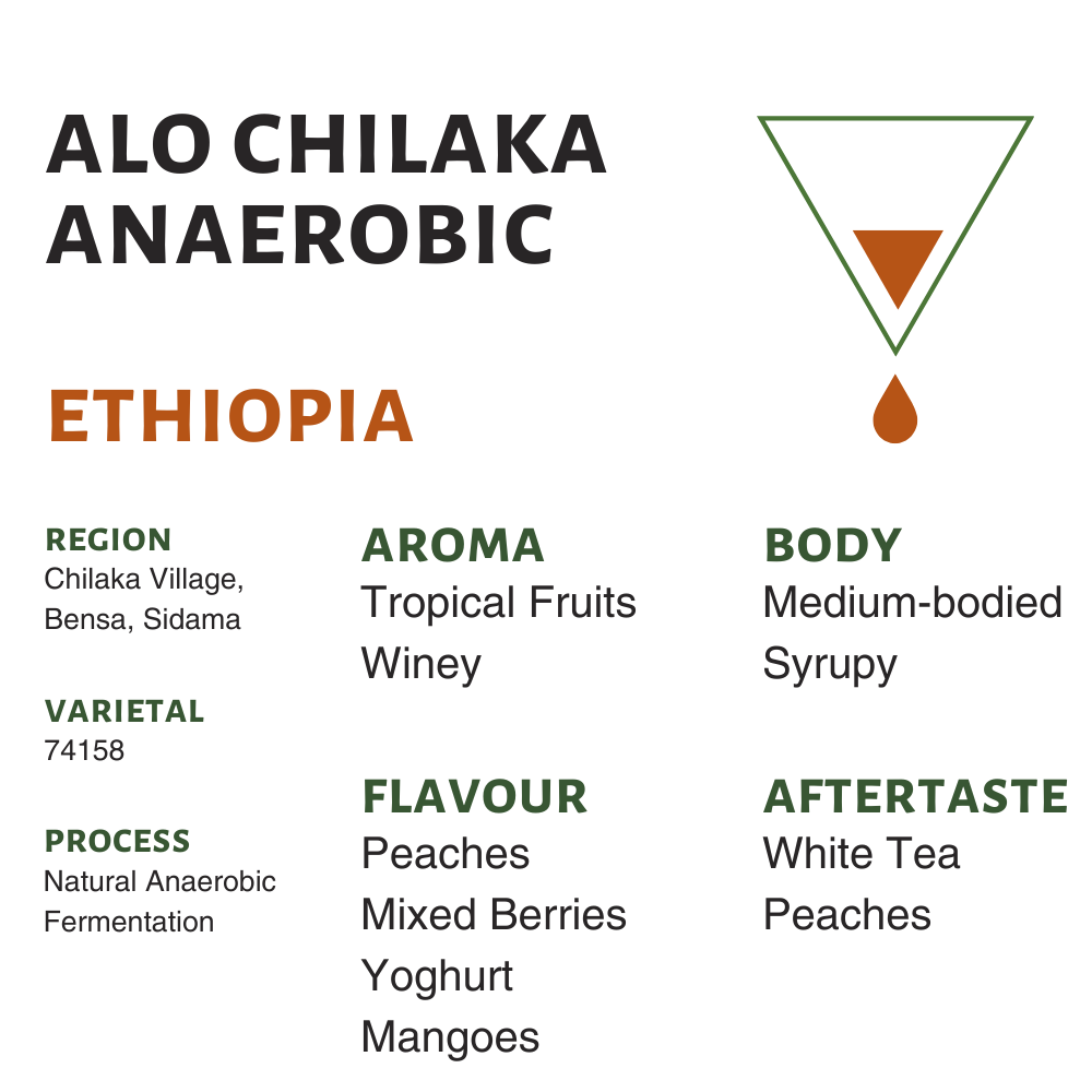 Ethiopia Alo Chilaka Anaerobic