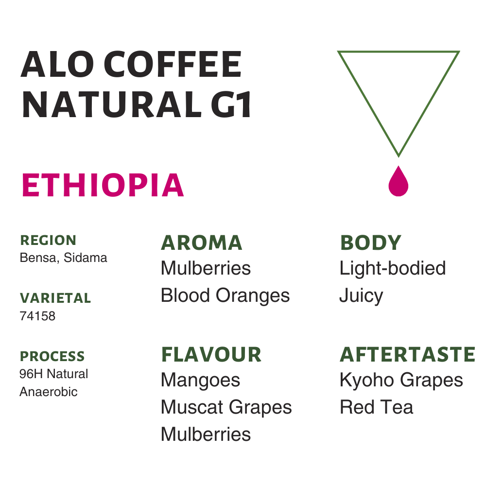 Ethiopia Alo Coffee Natural G1 Flavor Profile