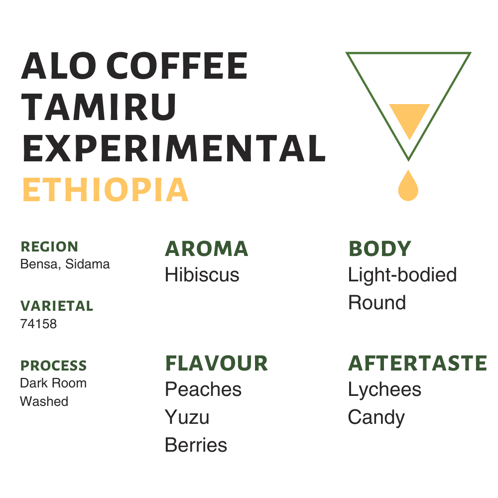 Ethiopia Alo Coffee Tamiru Experimental