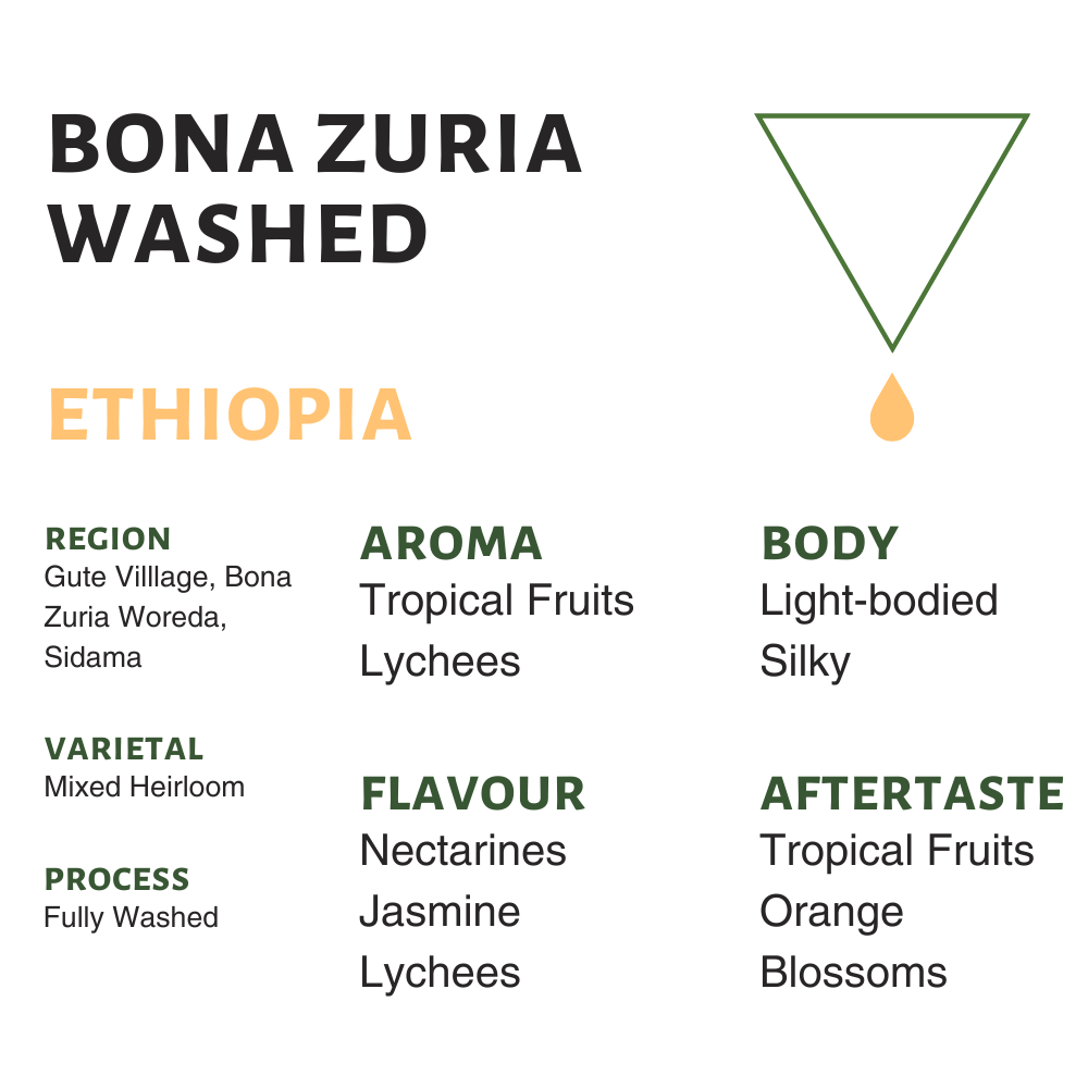 Ethiopia Bona Zuria Washed