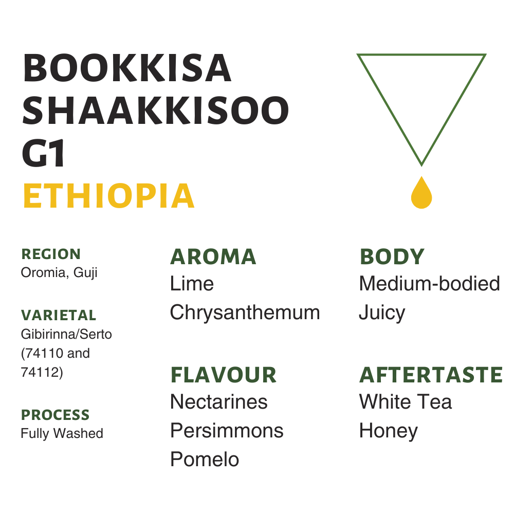 Ethiopia Bookkisa Shaakkisoo