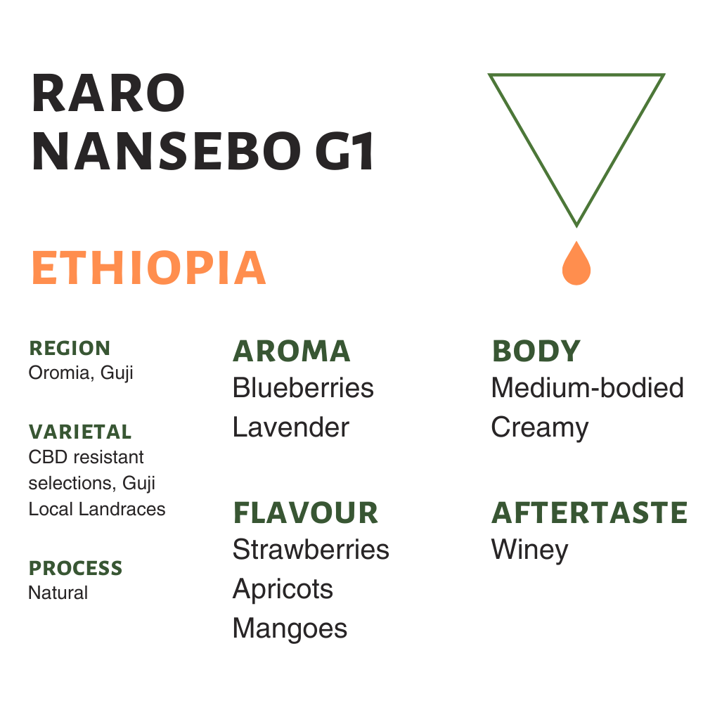 Ethiopia Raro Nansebo