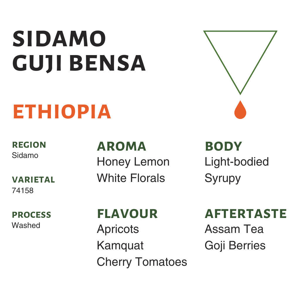 Ethiopia Guji Bensa Flavor Profile