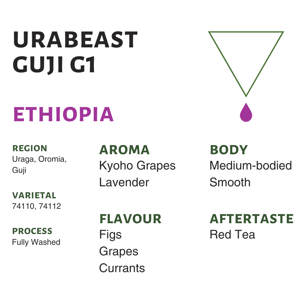 Photo of Ethiopia Urabeast Guji G1