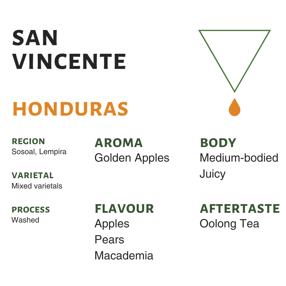 Honduras San Vincente