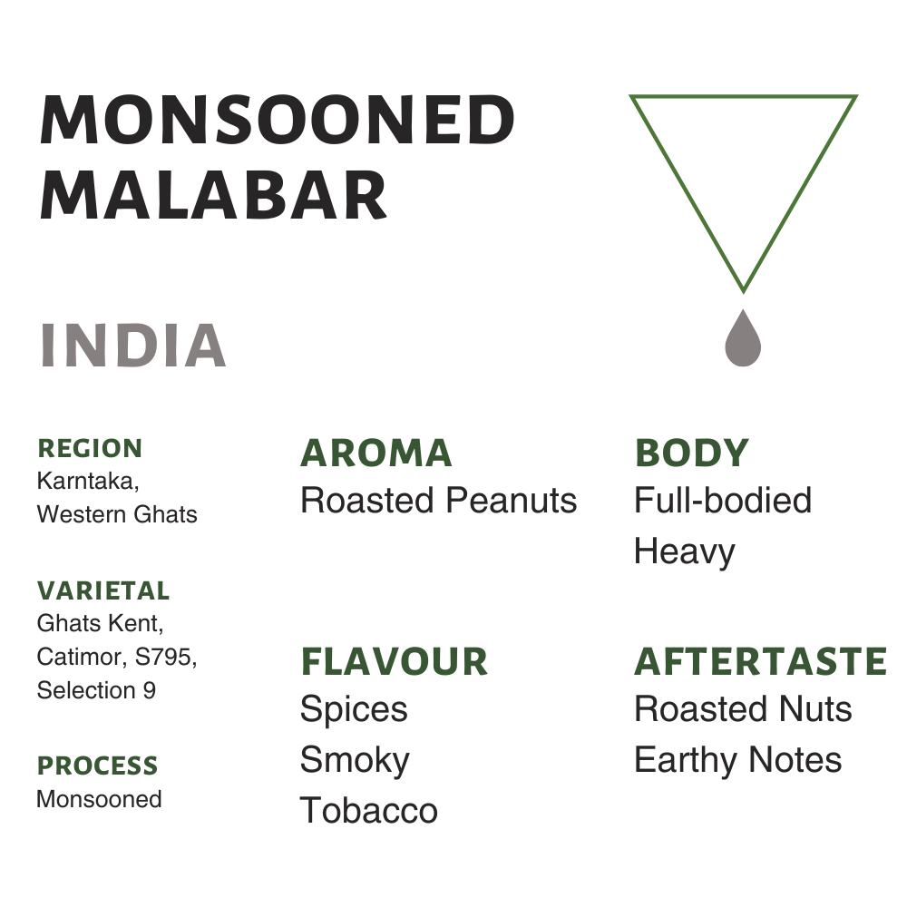 India Monsooned Malabar Flavor Profile