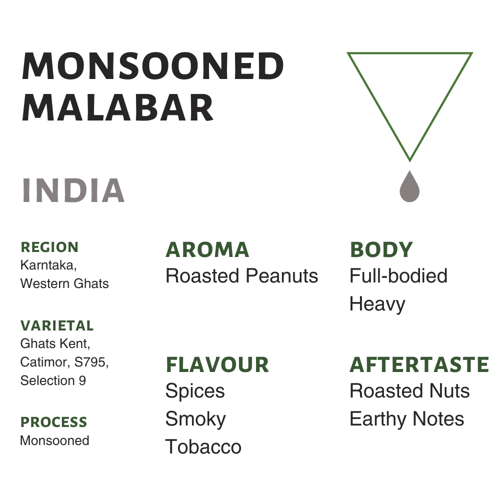 Photo of India Monsooned Malabar