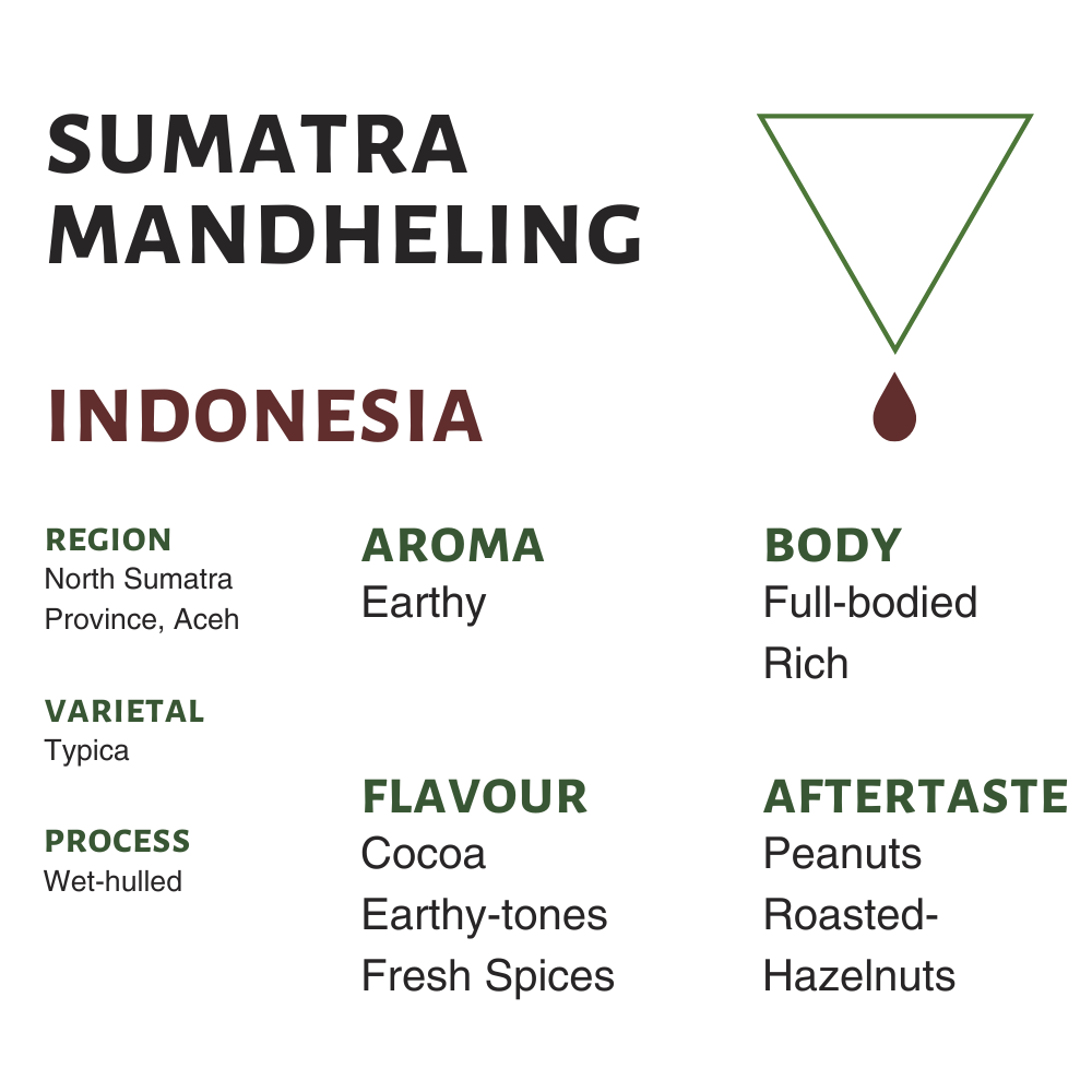 Indonesia Sumatra Mandheling Flavor Profile