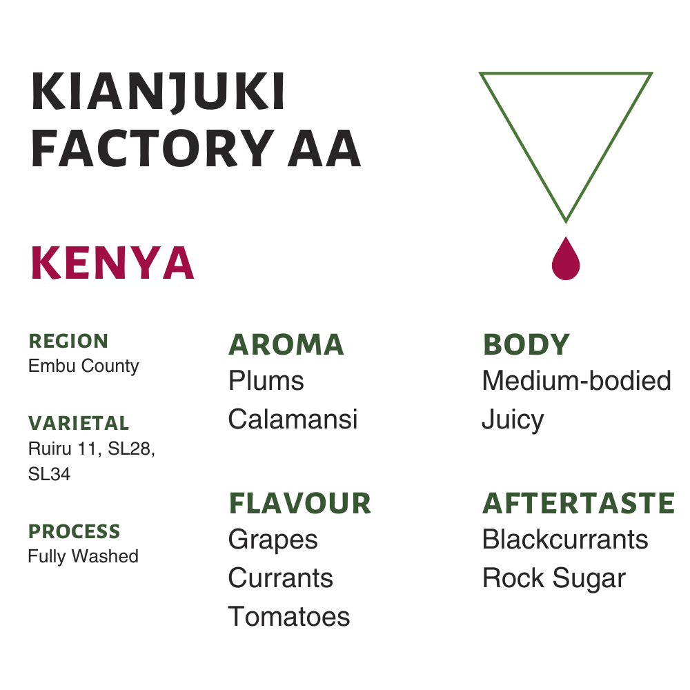 Kenya Kianjuki Factory AA Filter Roast Flavor Profile