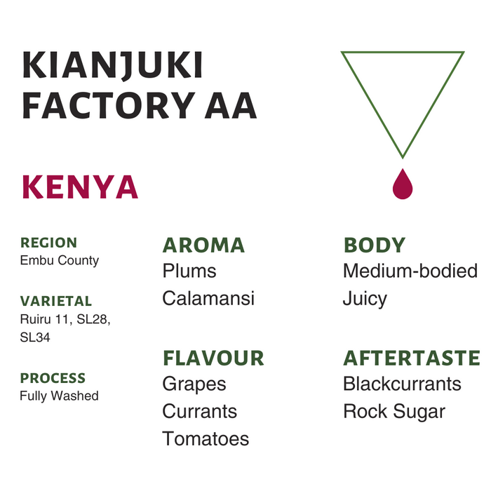Kenya Kianjuki Factory AA Roasted Coffee Beans