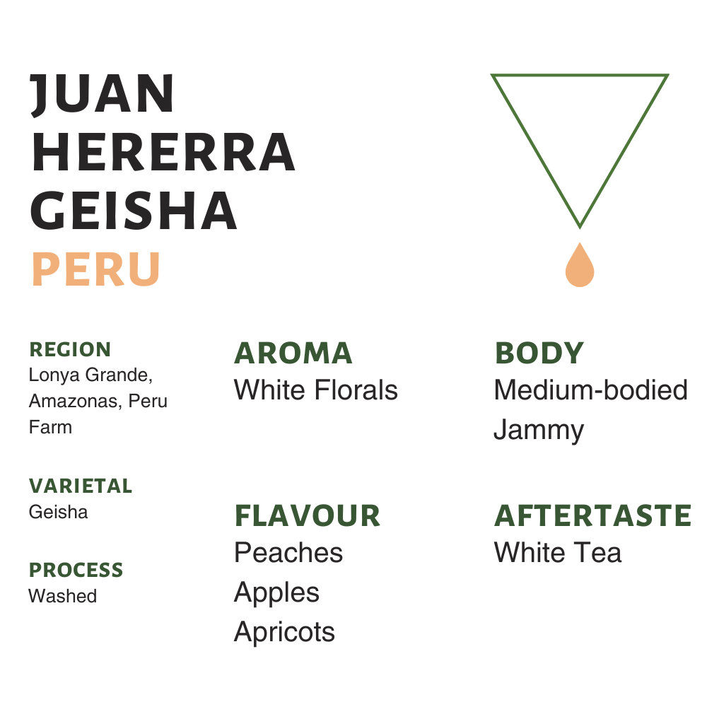 Photo of Peru Juan Hererra Geisha