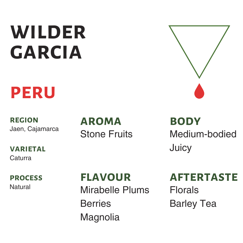 Photo of Peru Wilder Garcia