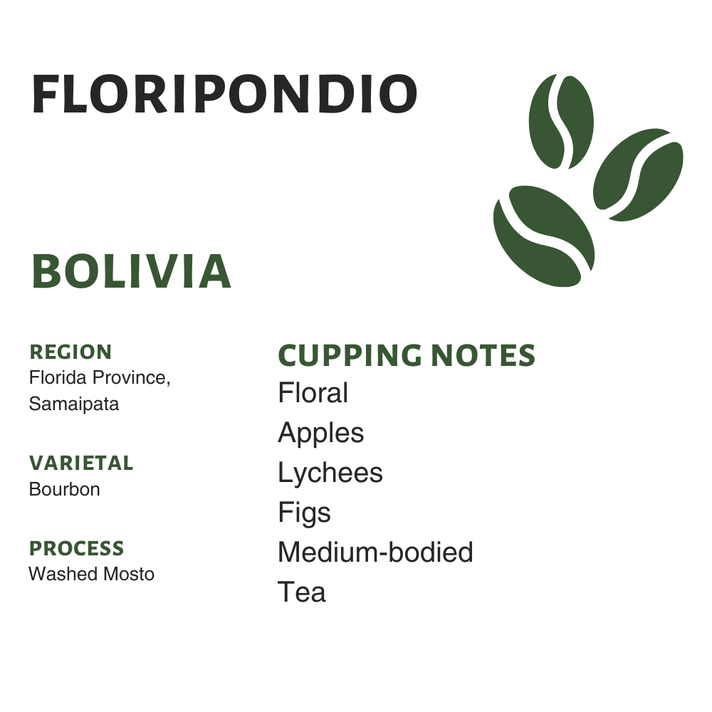 Bolivia Floripondio (Raw)