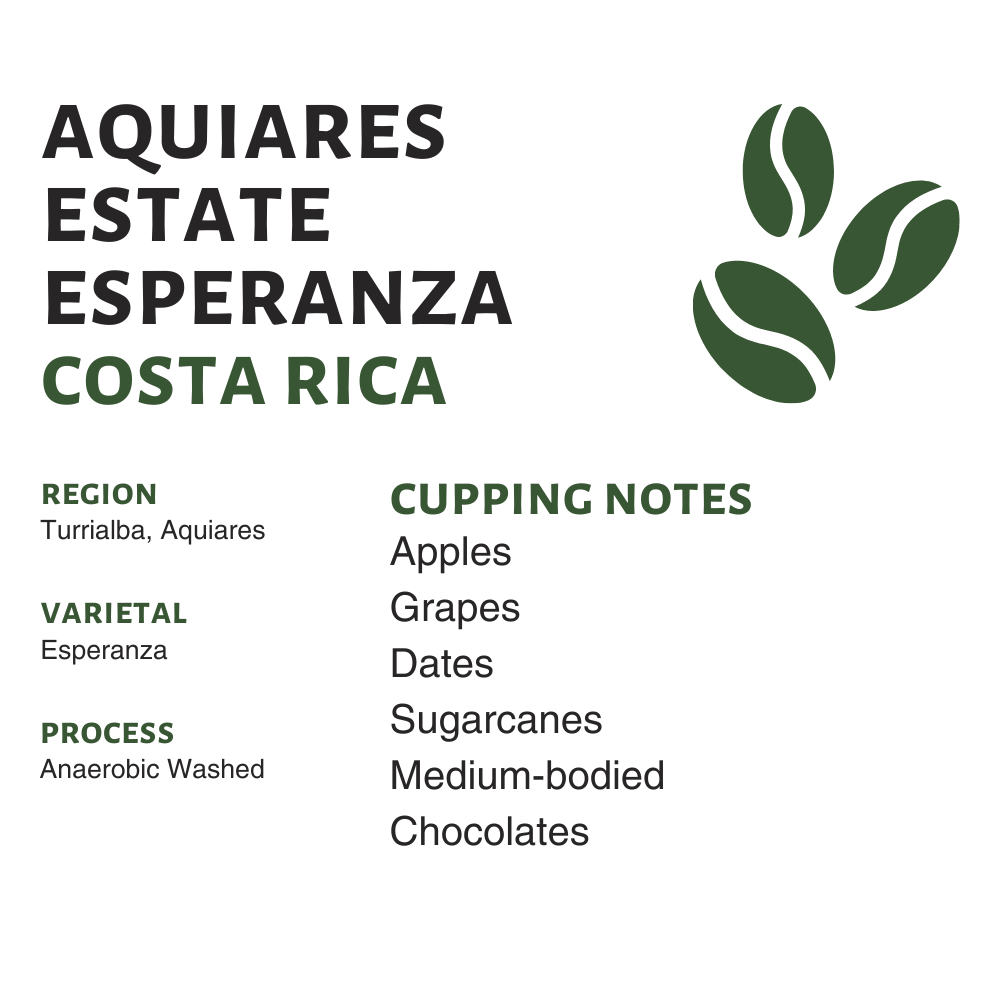 Costa Rica Aquiares Estate (Raw)