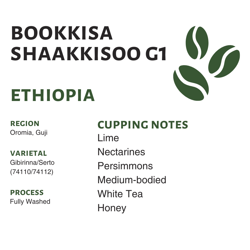 Ethiopia Bookkisa Shaakkisoo G1 (Raw)