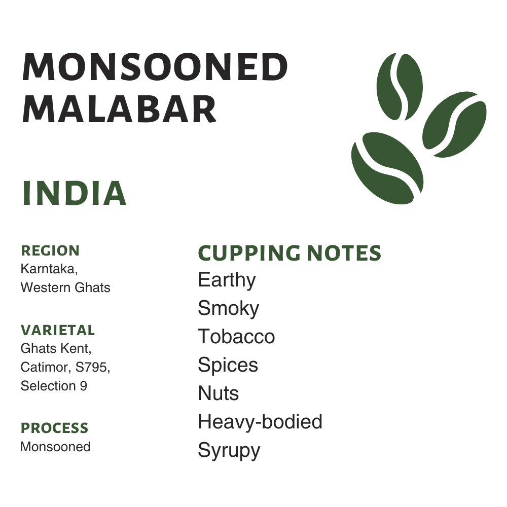 India Monsooned Malabar (Raw)