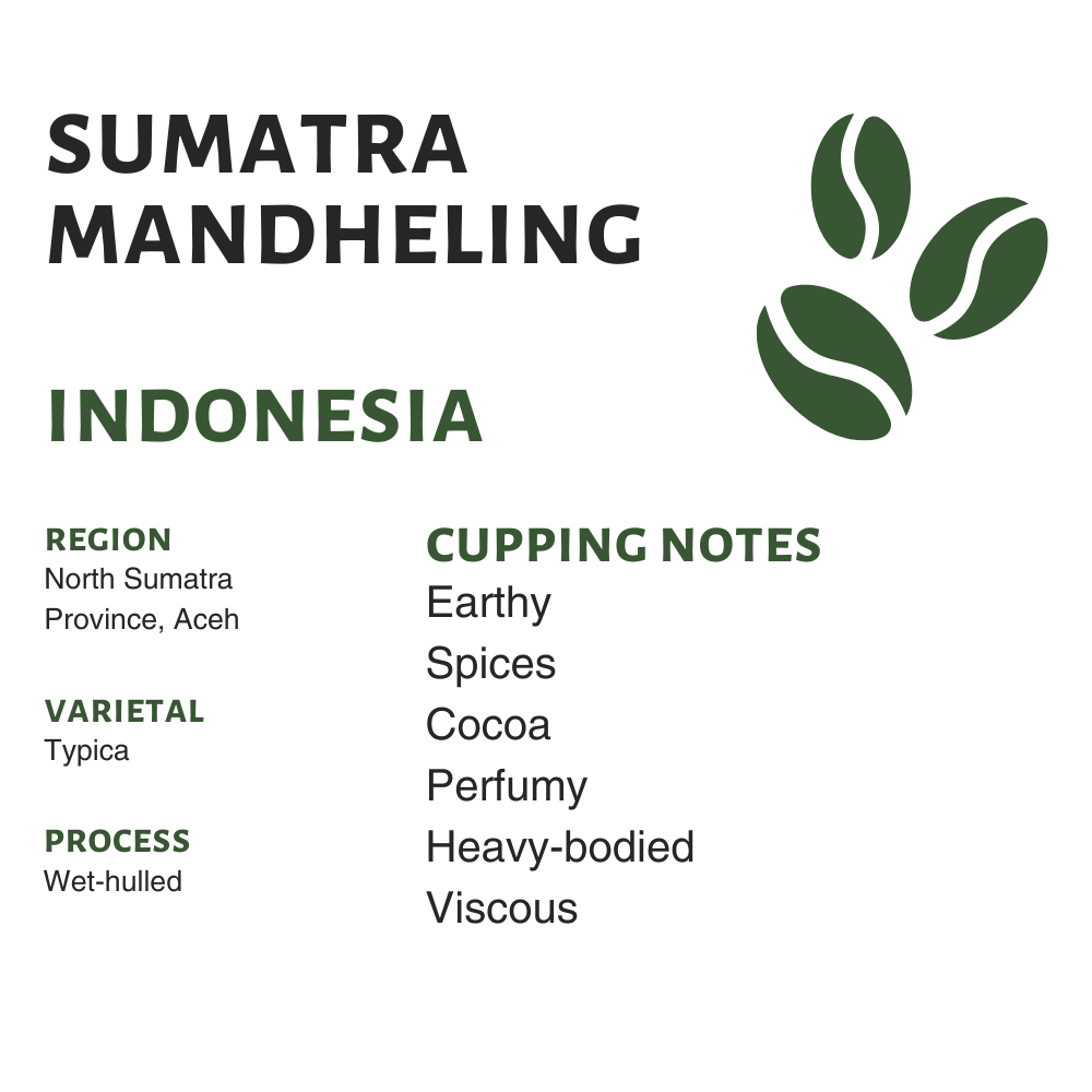 Indonesia Sumatra Mandheling (Raw)